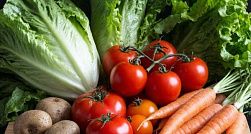 За январь в Петербурге овощи подорожали на 11,7 % За январь в Петербурге овощи подорожали на 11,7 %