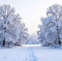 В Петербурге сохраняется морозная погода В Петербурге сохраняется морозная погода
