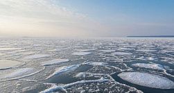 С отколовшейся льдины в Финском заливе спасли 19 человек С отколовшейся льдины в Финском заливе спасли 19 человек