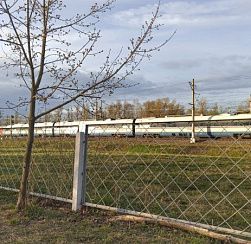 В Петербург пришел атмосферный фронт с кратковременными дождями В Петербург пришел атмосферный фронт с кратковременными дождями