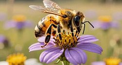 Мёд, финики и «нулевые» напитки могут спровоцировать срыв к сладкому Мёд, финики и «нулевые» напитки могут спровоцировать срыв к сладкому