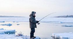 Росприроднадзор призвал рыбаков не беспокоить тюленей и нерп в Финском заливе Росприроднадзор призвал рыбаков не беспокоить тюленей и нерп в Финском заливе