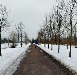 Синоптик: температурные рекорды ожидаются в Петербурге Синоптик: температурные рекорды ожидаются в Петербурге