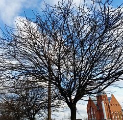 В Петербурге в четверг будет солнечно, ветрено и холодно В Петербурге в четверг будет солнечно, ветрено и холодно
