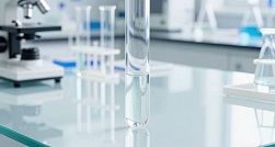 В России родился первый жеребёнок, полученный методом ЭКО В России родился первый жеребёнок, полученный методом ЭКО