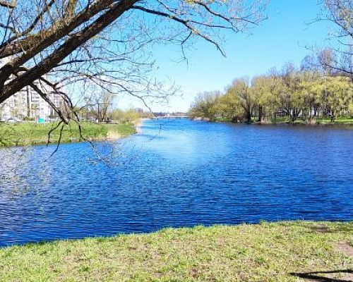 Петербургские сады и парки закрываются на просушку на 10 дней раньше обычного