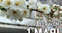 Александр Беглов поздравил петербуржцев с Днём Весны и Труда Александр Беглов поздравил петербуржцев с Днём Весны и Труда