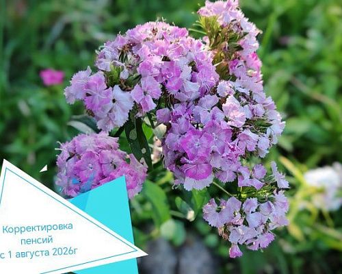 Корректировка пенсий с 1 августа 2026г.