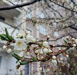 Петербуржцам предсказали улучшение погоды во второй половине недели Петербуржцам предсказали улучшение погоды во второй половине недели