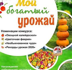 Мой богатый урожай Мой богатый урожай