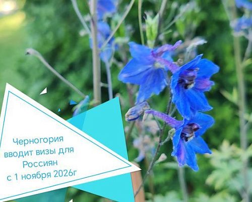 Черногория вводит визы для россиян с 1 ноября 2026 года