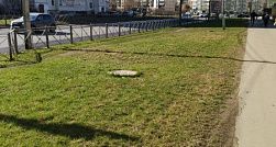 Петербуржцев пригласили присоединиться к «Доброму субботнику» Петербуржцев пригласили присоединиться к «Доброму субботнику»