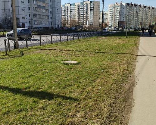 Петербуржцев пригласили присоединиться к «Доброму субботнику»