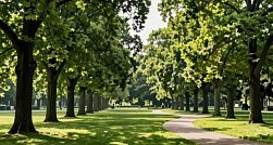 Россиянам назвали наиболее опасные методы удаления клещей Россиянам назвали наиболее опасные методы удаления клещей