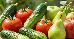 Россиянам рассказали, чем кормить детей для профилактики дефицита витаминов зимой Россиянам рассказали, чем кормить детей для профилактики дефицита витаминов зимой