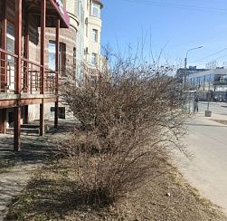 В Петербург возвращаются дожди В Петербург возвращаются дожди