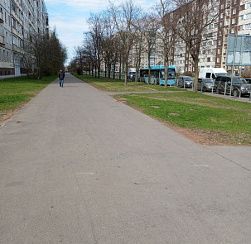 Северный ветер принёс в Петербург временное похолодание Северный ветер принёс в Петербург временное похолодание