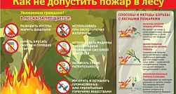 Весной и летом резко увеличивается вероятность возникновения пожаров . Весной и летом резко увеличивается вероятность возникновения пожаров .