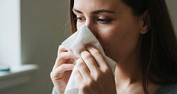 В России проводят клинические исследования первой вакцины от аллергии на пыльцу березы В России проводят клинические исследования первой вакцины от аллергии на пыльцу березы